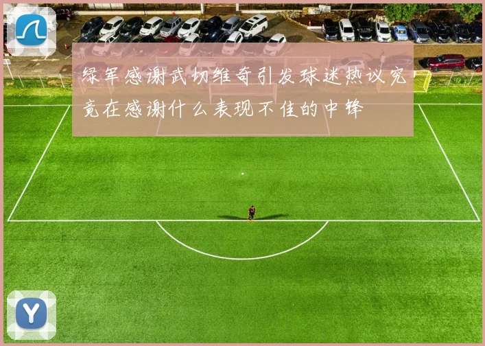 绿军感谢武切维奇引发球迷热议究竟在感谢什么表现不佳的中锋