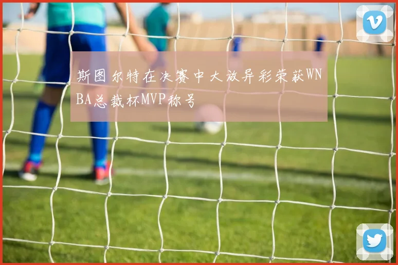 斯图尔特在决赛中大放异彩荣获WNBA总裁杯MVP称号